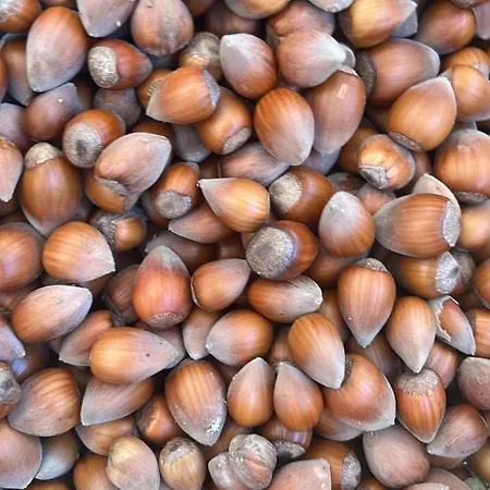 Rum i privatbostad In Polican (Berat)