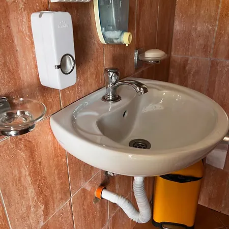 Проживание в семье In