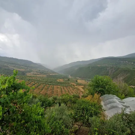In Polican (Berat)