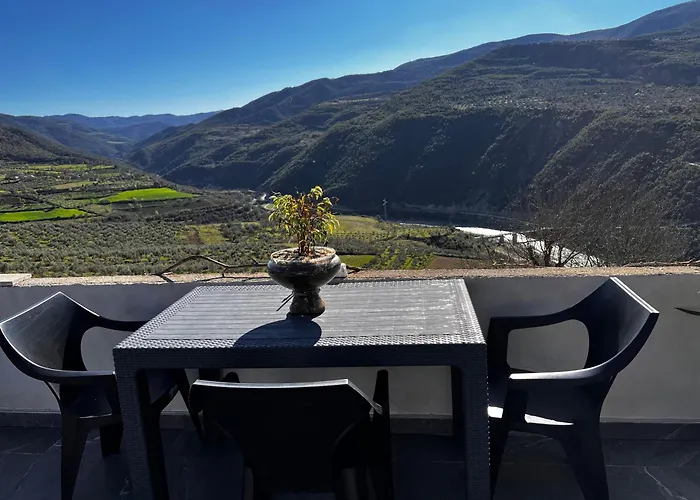 In * Polican (Berat)