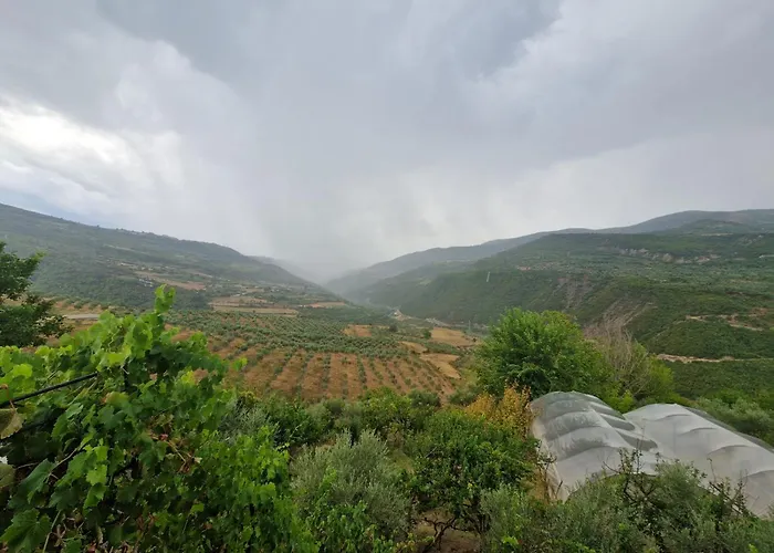 In Polican (Berat)