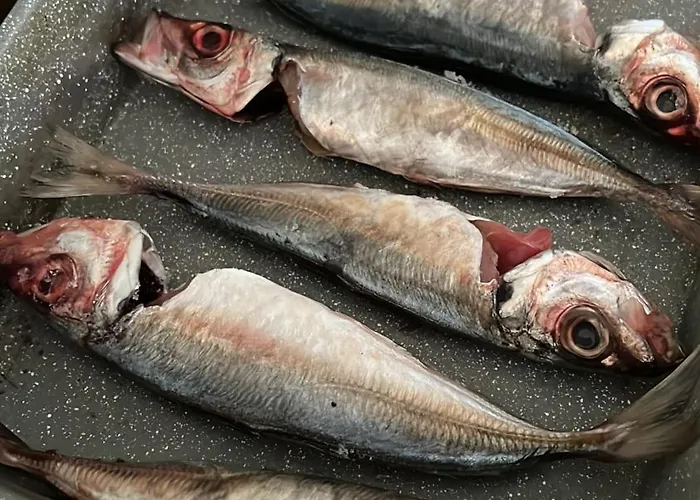 In 民宿 Polican (Berat)