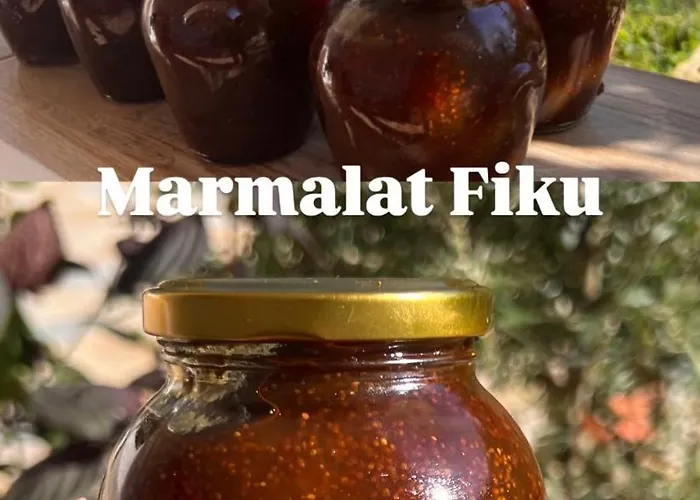 In * Polican (Berat)